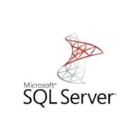 SQL Server 2022 Standard Edition Perpetual 1 Server License