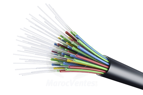 CABLE FIBRE OPTIQUE 12 BRINS MULTIMODE ARME 50/125 OM3 LINK-TECH LIN-FIB/12B.MUL_3