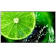 NEC MULTISYNC® E758 ÉCRAN LCD GRAND FORMAT ESSENTIEL DE 75 POUCES E758