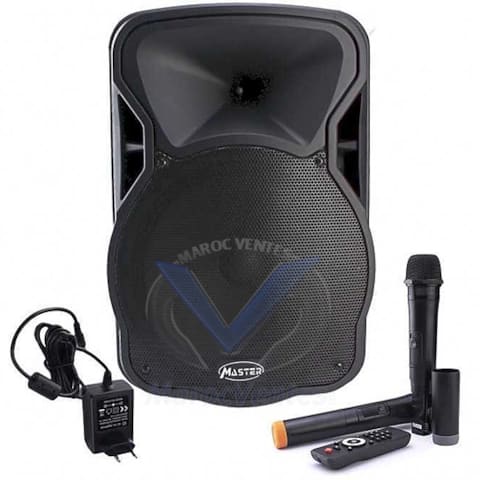 HAUT-PARLEUR AMPLIFIÉ MASTER 12" USB-SD-FM A12-2