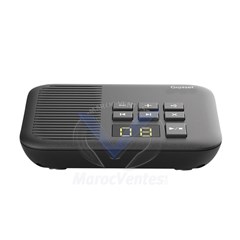 Station de Base DECT Analogique  pour Téléphone sans Fil