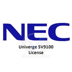 LICENSE PORT SYSTEM POUR SV9100 BE114042
