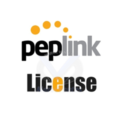 Licence d'activation WAN virtuelle Peplink LIC-VWAN pour B20X BPL-021X-LC-VWAN