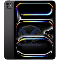 iPad Pro 11 pouces (2024) Wi-Fi + Cellulaire 256 Go avec Vitre Standard SPACE BLACK