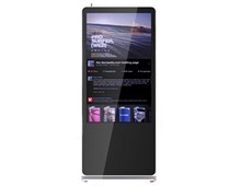 Afficheur de Publicité TP-55 Ecran 55"