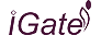 iGate