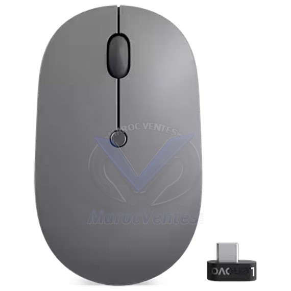 Souris sans fil USB-C Lenovo Go GY51C21210